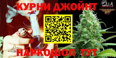 a pvp Апшеронск
